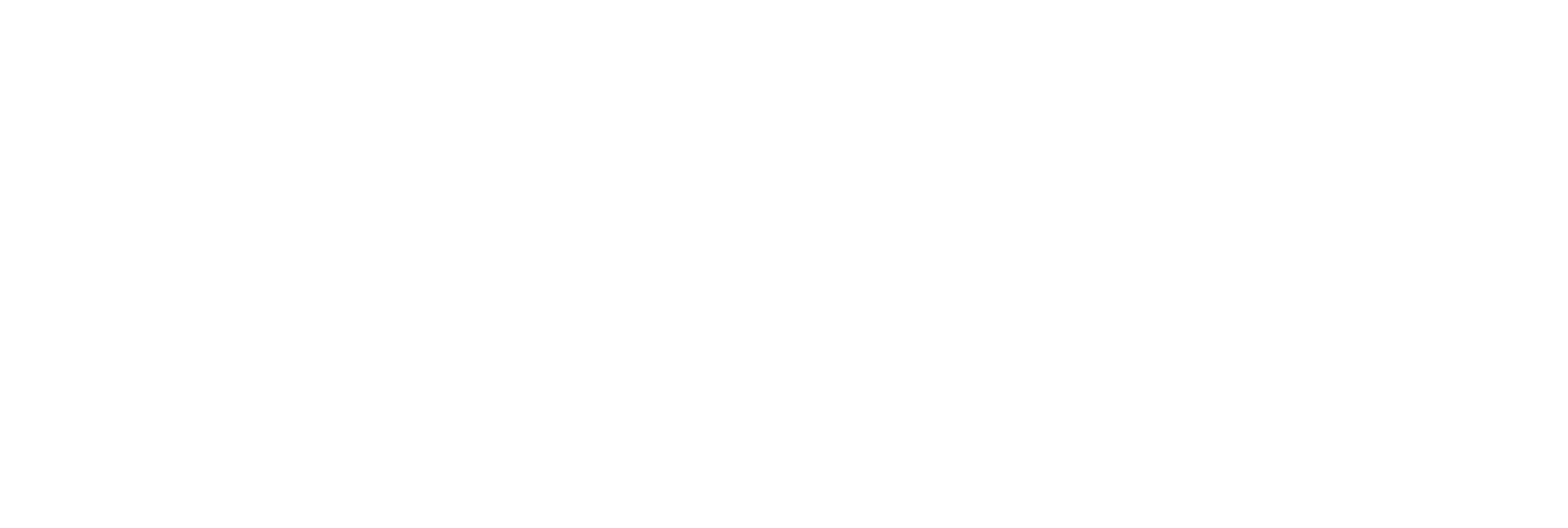 Swim4 Logo White